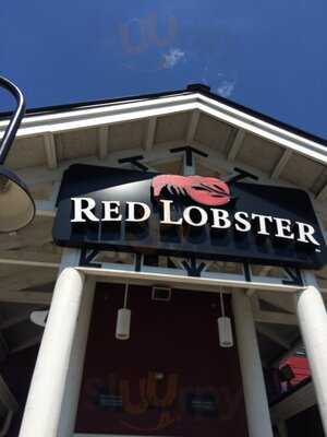 Red Lobster