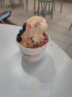 Yogo Berry