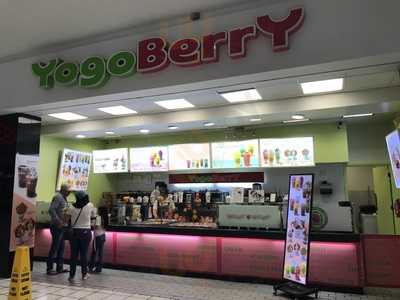 Yogo Berry