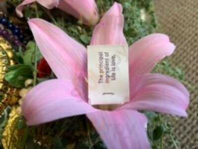 Columbia Grill & Bar