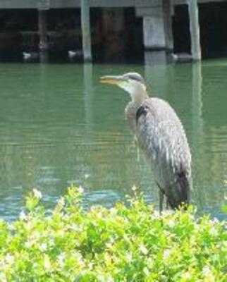 Firewater Restaurant