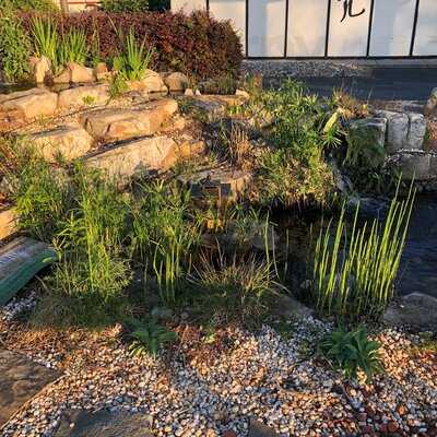 Kabuto Japanese Steak House