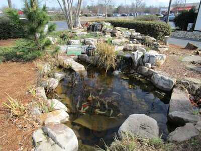 Kabuto Japanese Steak House