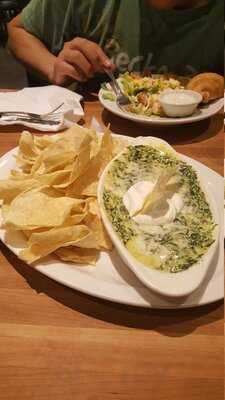 Cheddar's Scratch Kitchen