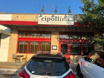 Cipollina
