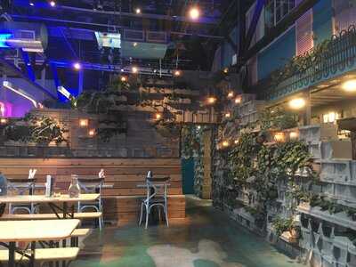 Bang Up To The Elephant!