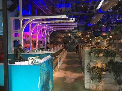 Bang Up To The Elephant!