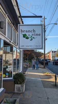Branch & Vine