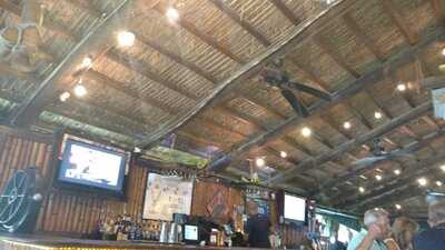 Green Iguana Bar & Grill