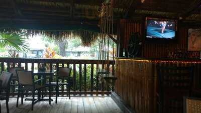 Green Iguana Bar & Grill