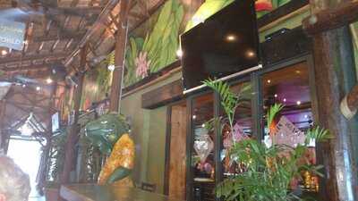 Green Iguana Bar & Grill