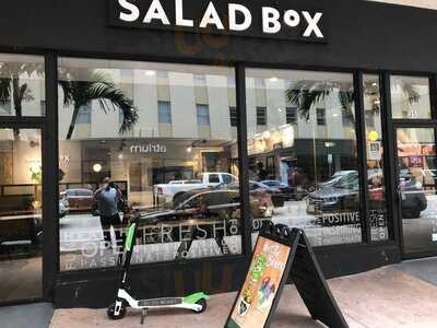 Salad Box