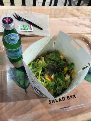 Salad Box
