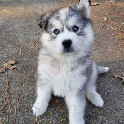 Usda Headquarters Cafeteria