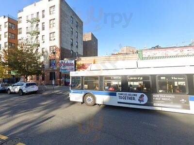 Concourse Jamaican Bakery