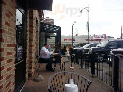 The Clark Street Dog