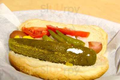 The Clark Street Dog