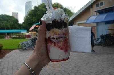 Haagen Dazs Ice Cream