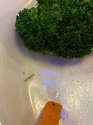 Willie's Grill & Icehouse