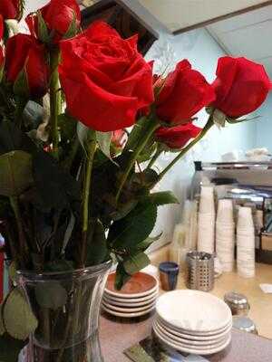 Enrico's Tazza D'oro