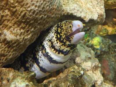 Islamorada Fish Company