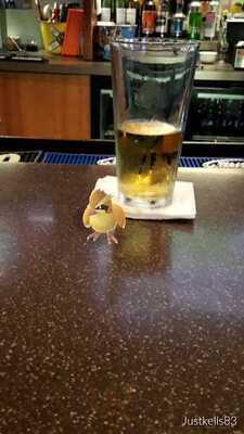 Buffalo Wings And Rings