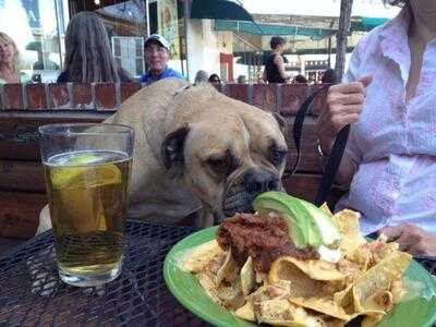 Gecko's Bar And Tapas