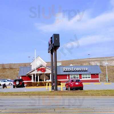 Red Lobster