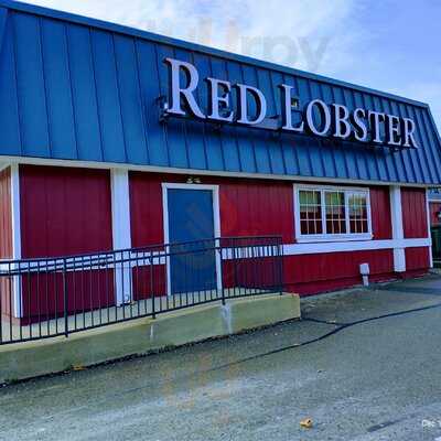 Red Lobster