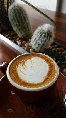 Bird Rock Coffee Roasters