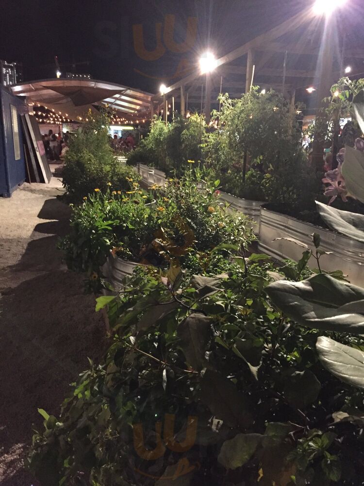 Charcoal Garden Bar + Grill