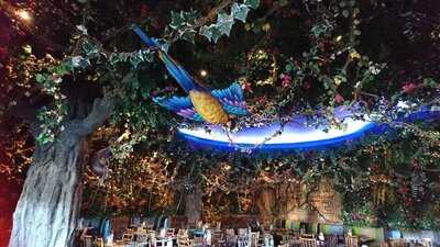 Rainforest Cafe