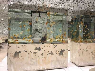 Beijing Noodle No. 9