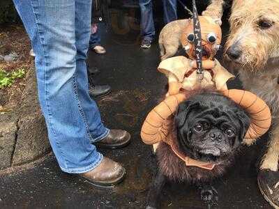 The Portland Taproom