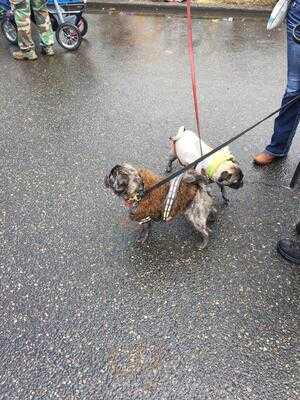 The Portland Taproom