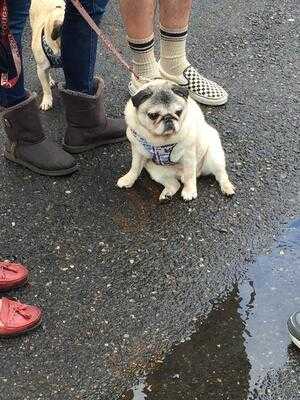 The Portland Taproom