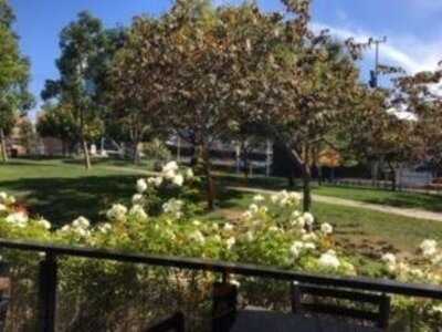 Social Tap San Diego