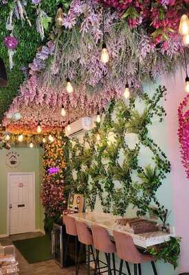 Mamajuana Cafe The Bronx