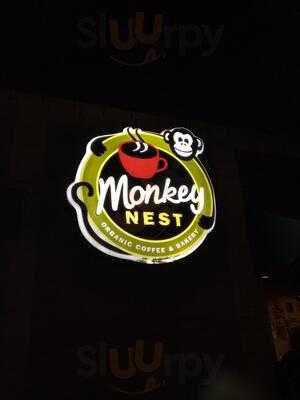 Monkey Nest