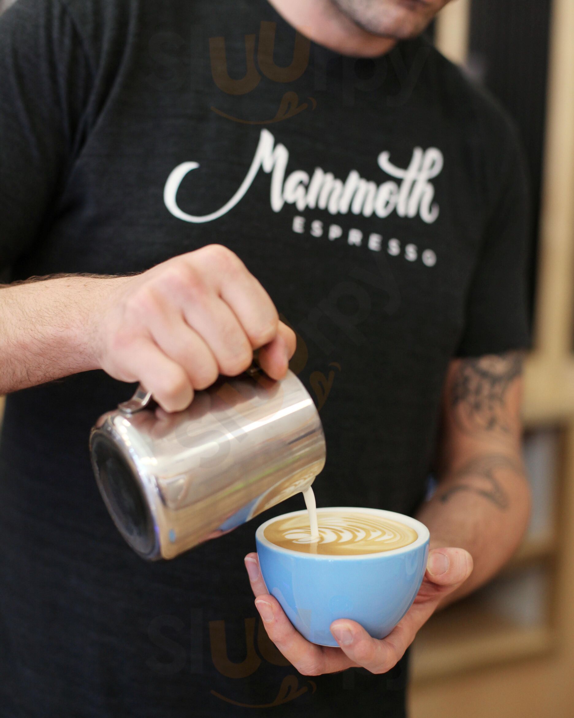 Mammoth Espresso