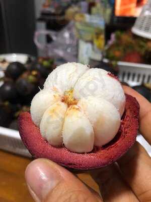 The Great Food Exposition