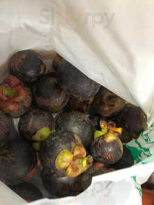 The Great Food Exposition