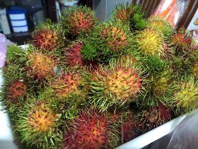 The Great Food Exposition