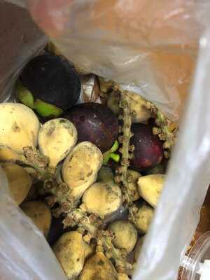 The Great Food Exposition