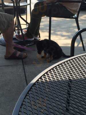 Einstein Bros. Bagels