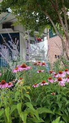 J.c. Romero's Neighborhood Cafe