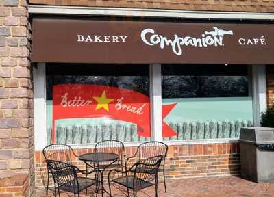 Companion Baki-ladue