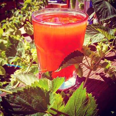 Outlander Brewery & Pub