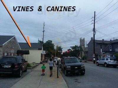 Vines And Canines