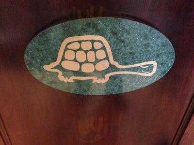 The Green Turtle